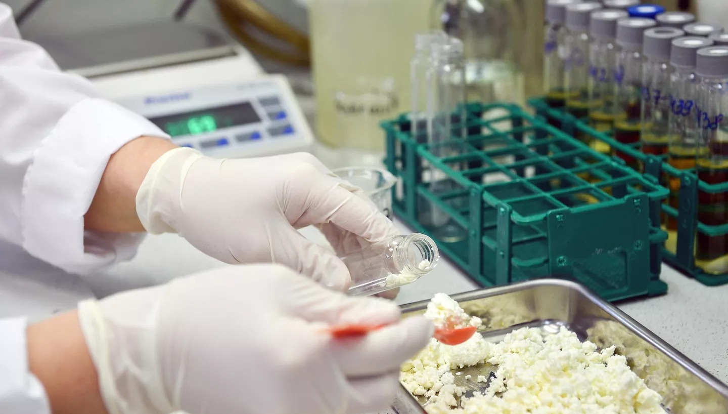 Ученые из Татарстана обнаружили творог с нарушением ГОСТа