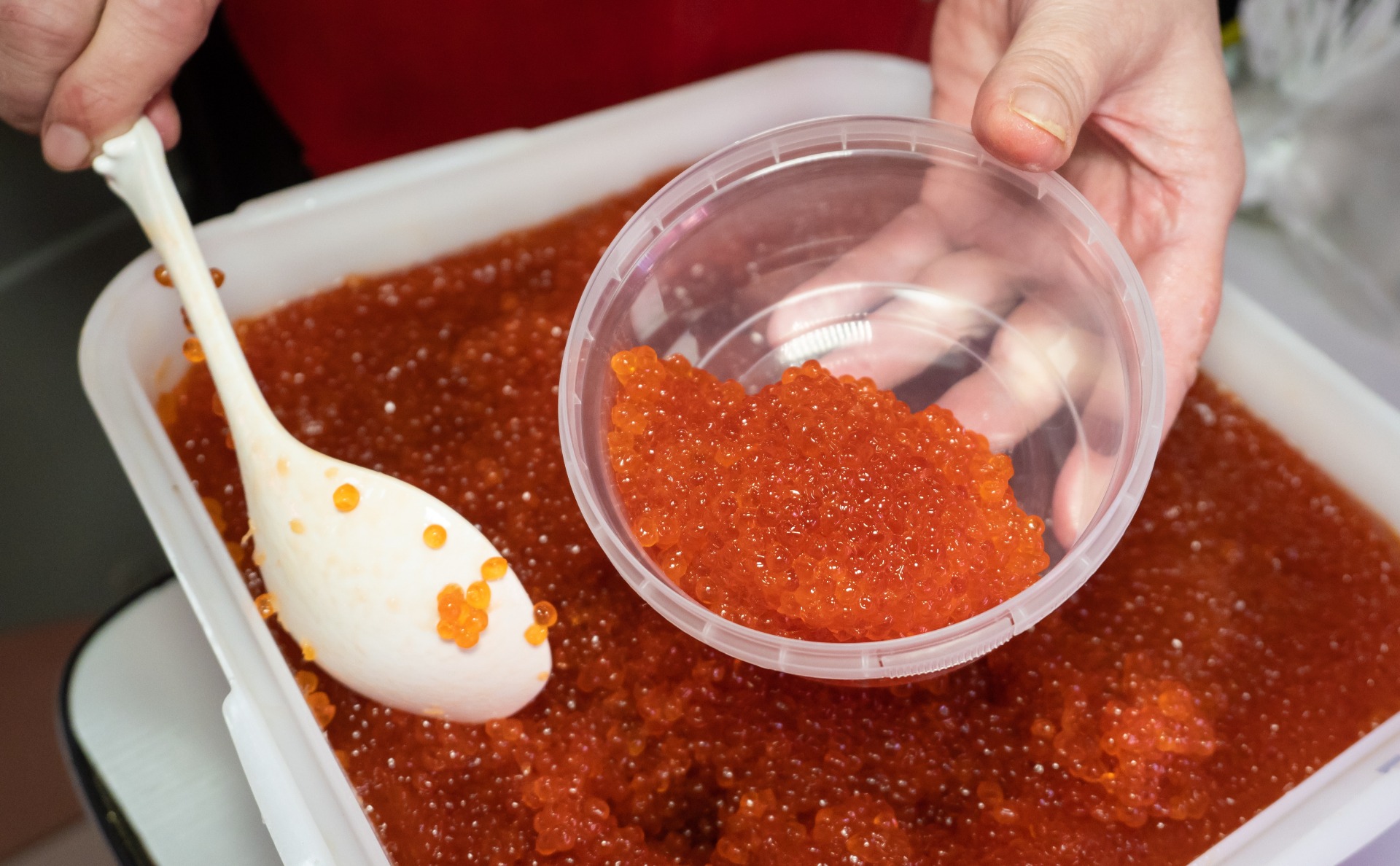 Цены на красную икру в России взлетели за год на треть