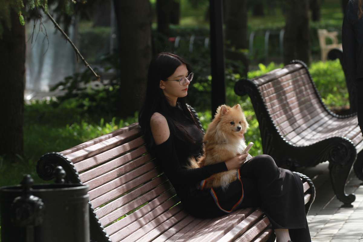 За каких животных в квартире россиянам грозит штраф, объяснил юрист