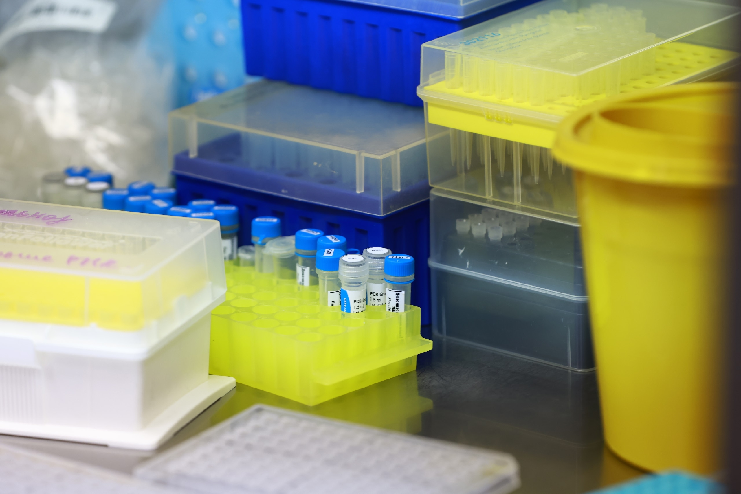 Ученые из Казани создали новое устройство для лечения сложных переломов