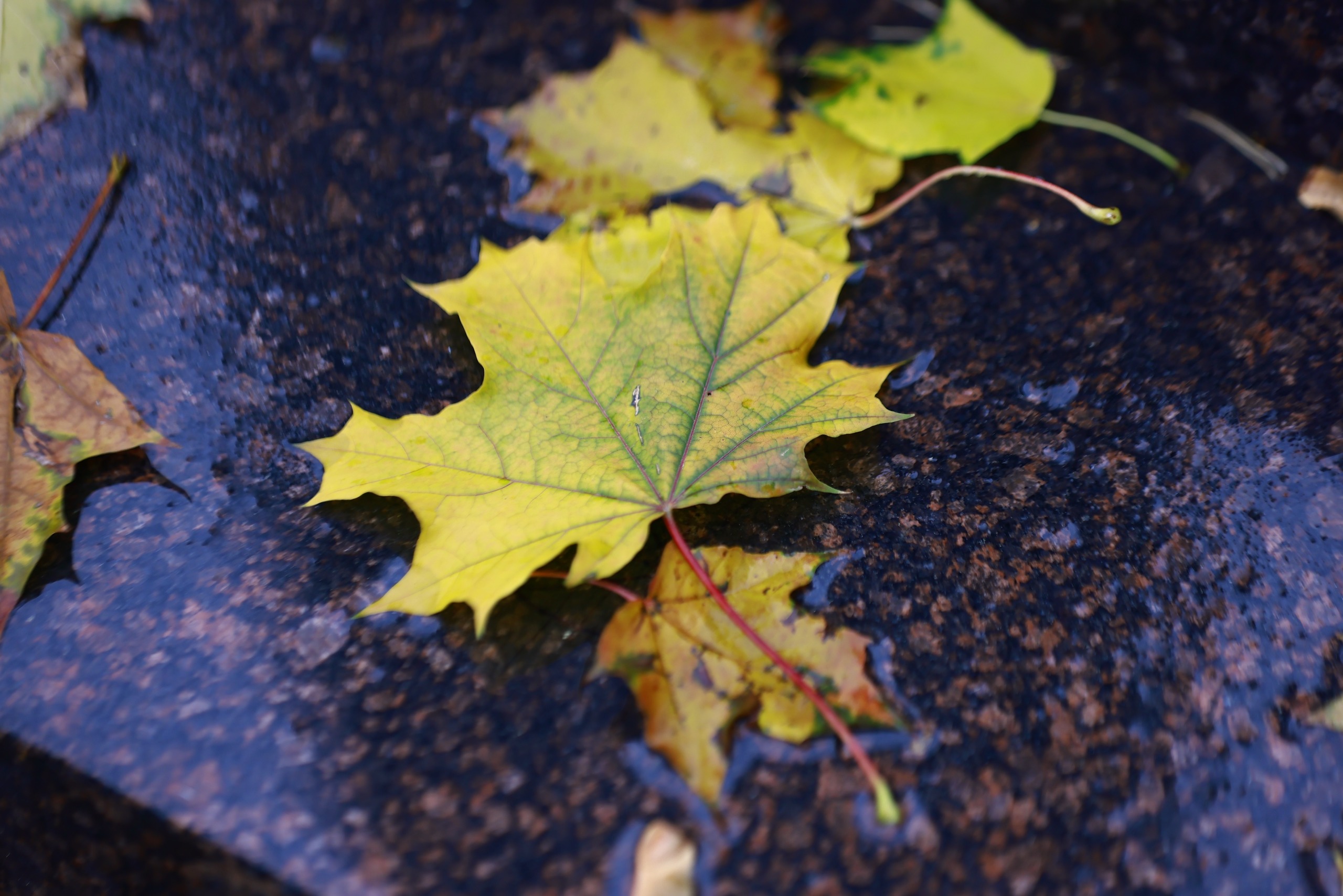 В Казани побит 102-летний температурный рекорд