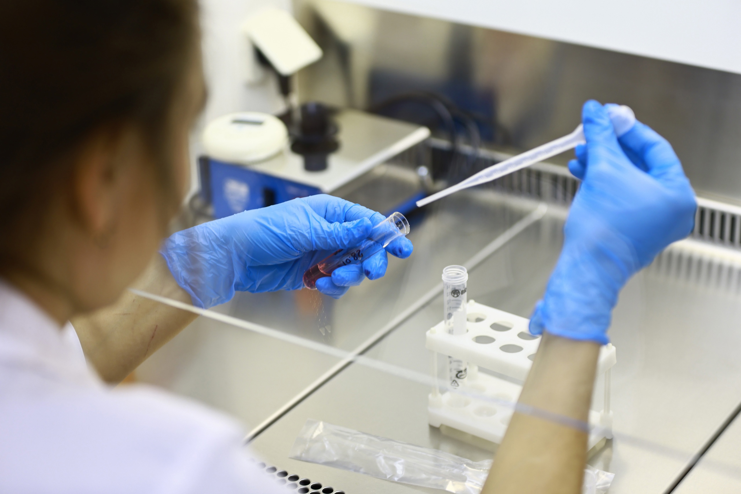 Обнаружены особые иммунные клетки, борющиеся со старением