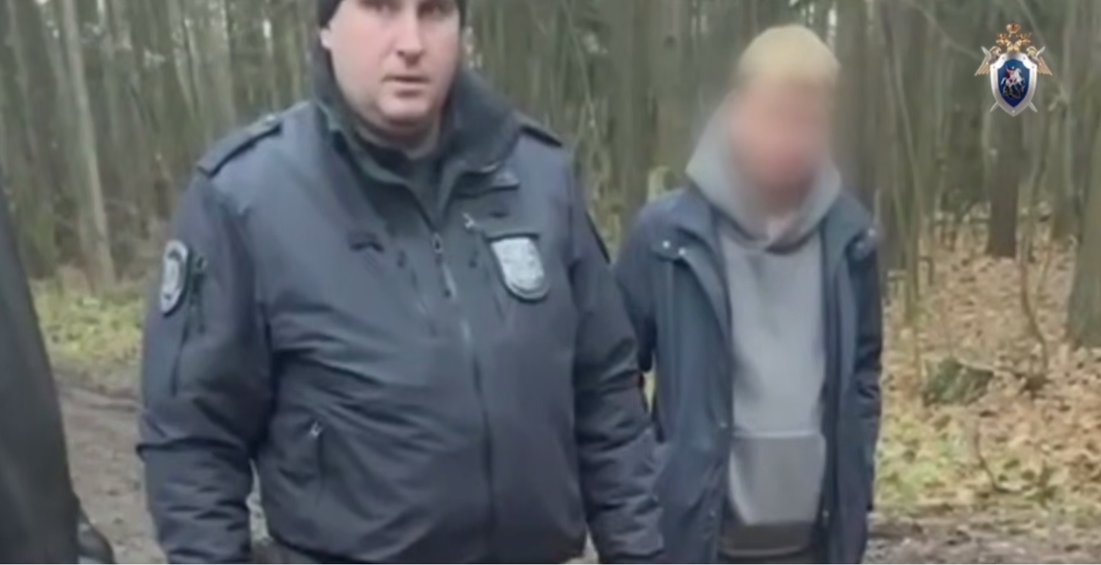 Задержали маньяка, охотившегося на нянь в Подмосковье