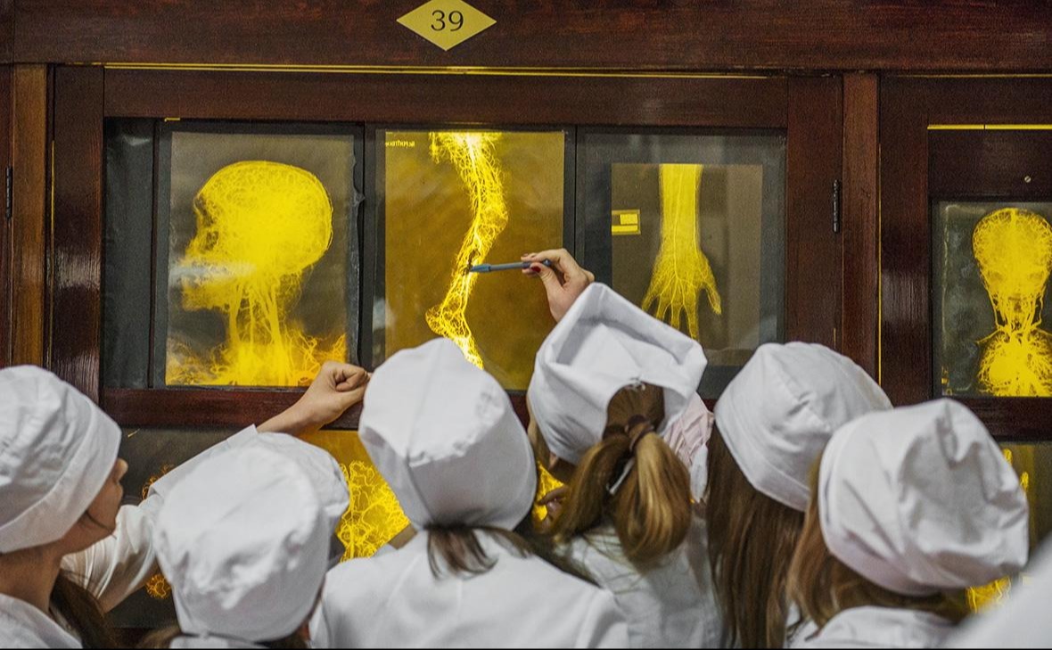 Минздрав раскрыл детали обязательной отработки выпускников медвузов