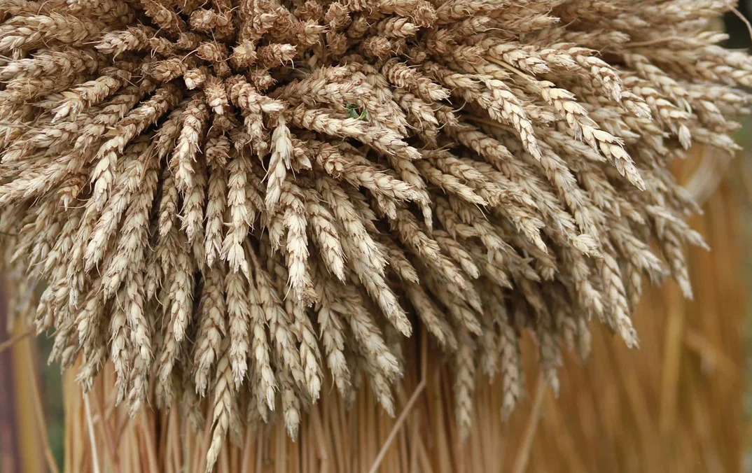 Павел Хацаюк / ИД «Вечерняя Казань»