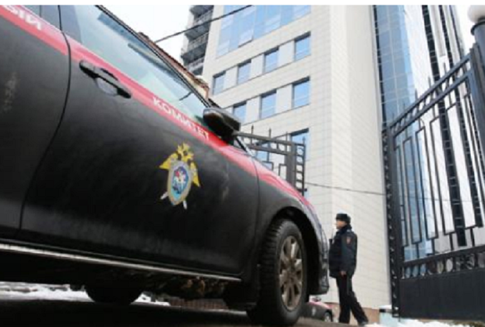 После нападения собак на ребенка в Татарстане главе СК представят доклад