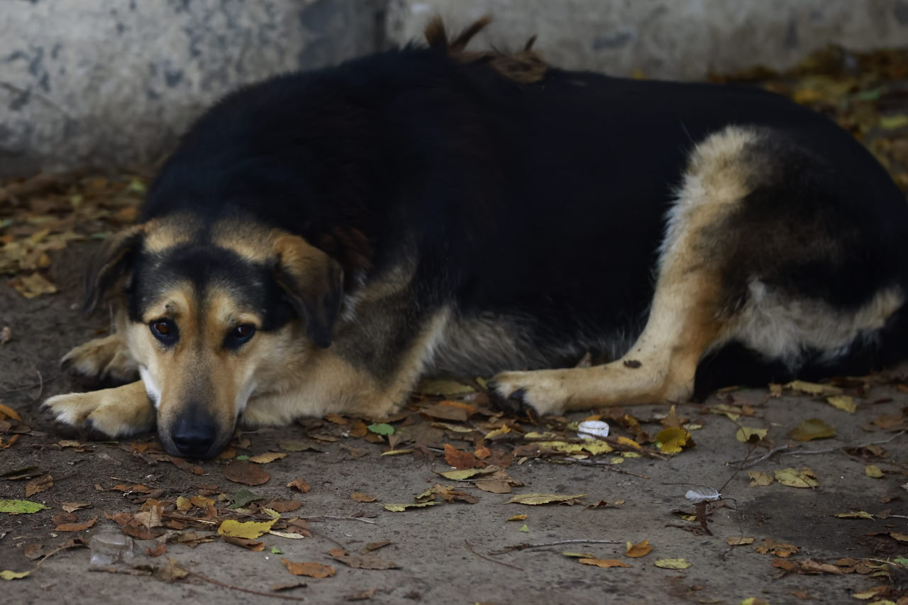 Павел Хацаюк / ИД «Вечерняя Казань»