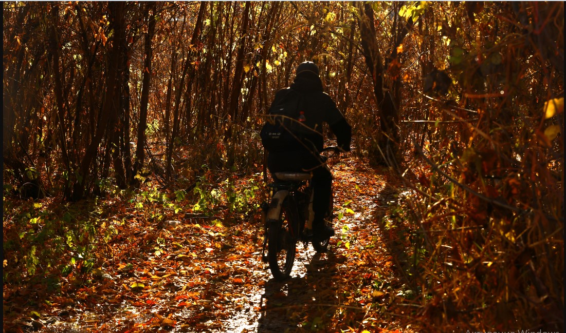 Нынешний ноябрь стал самым теплым в Казани за все время наблюдений