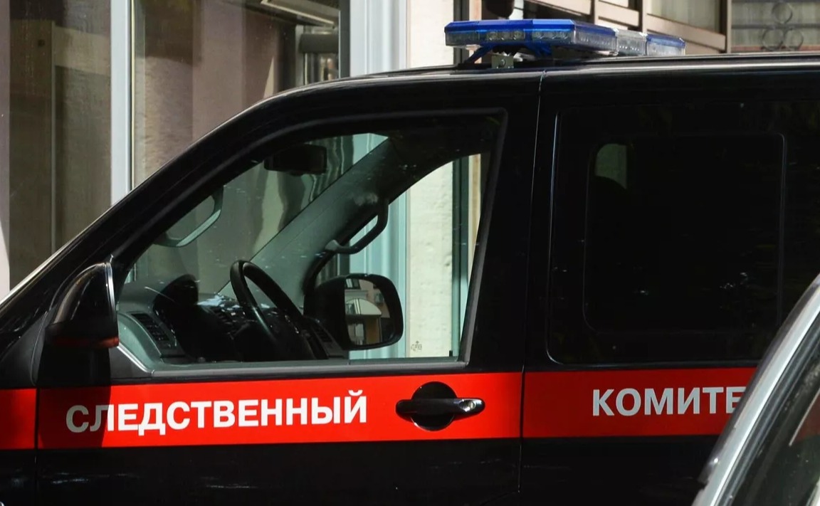 По делу о нападении собак в Васильево задержаны Альберт Галиев и Максим Иванов