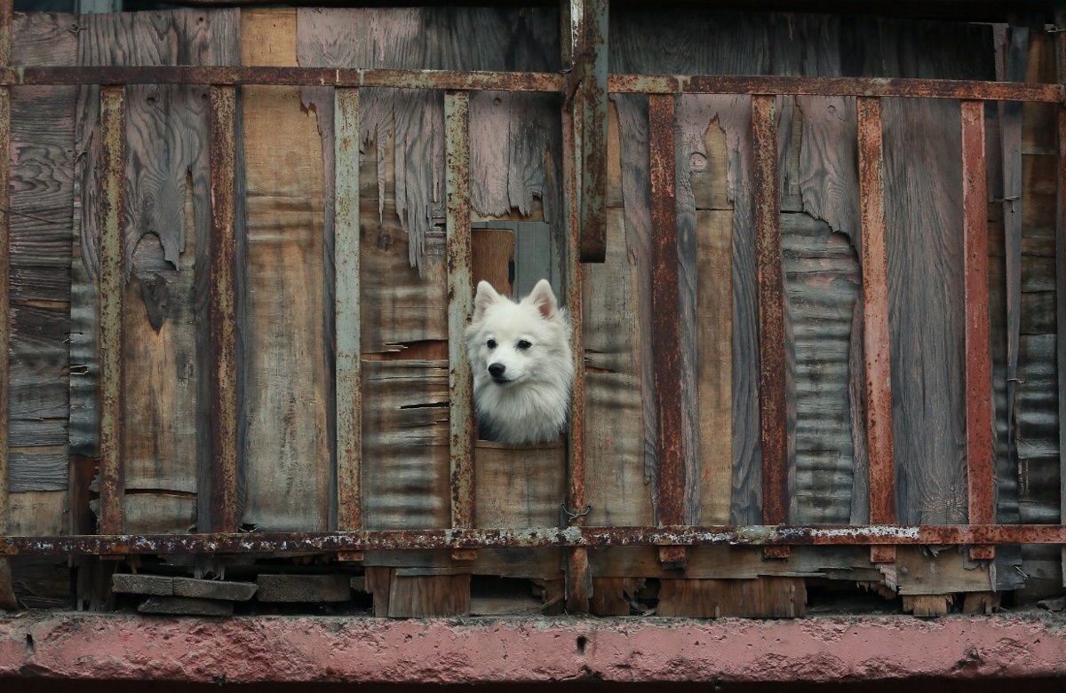 Павел Хацаюк / ИД «Вечерняя Казань»