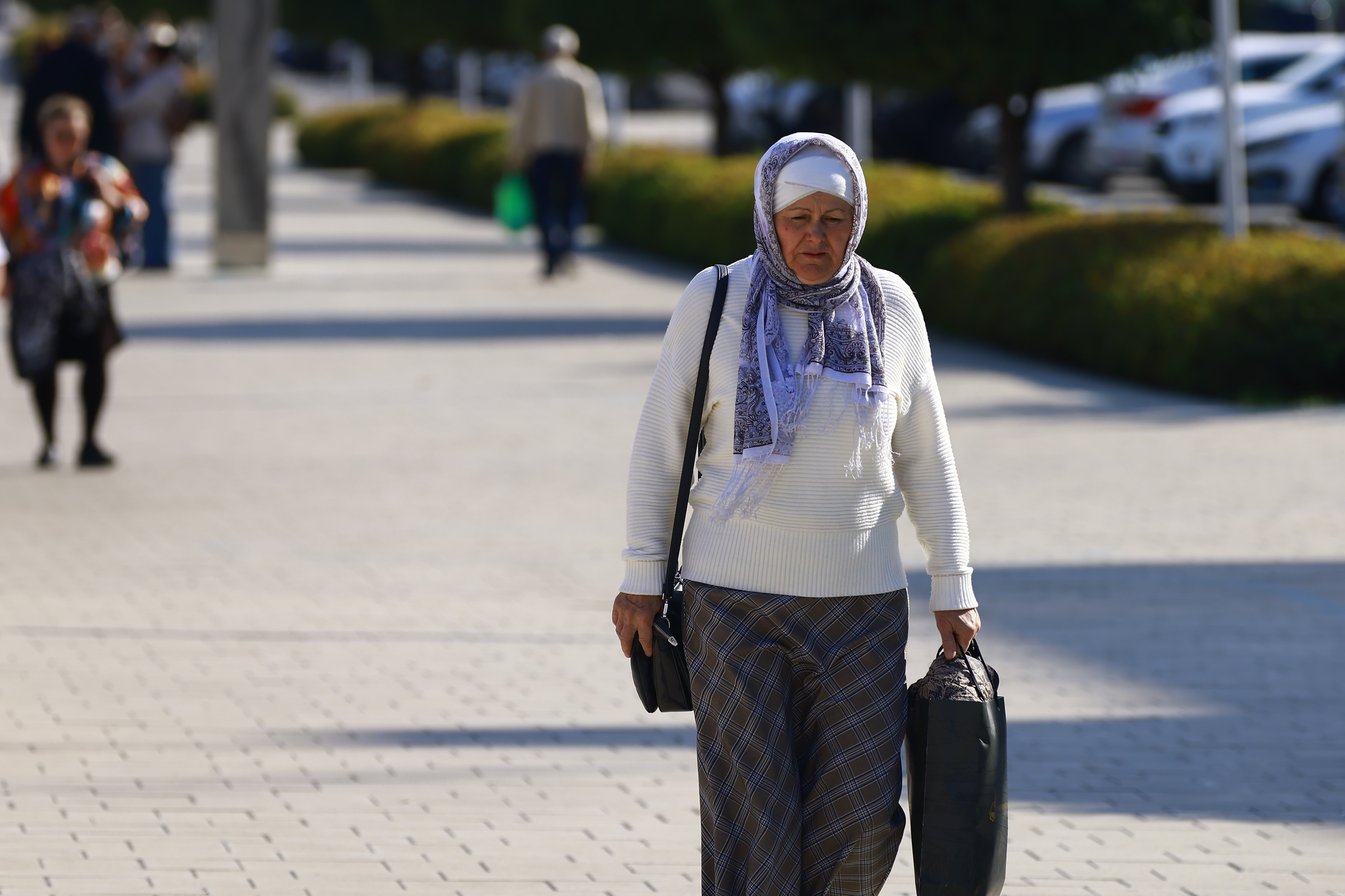 Повысить минимальный размер пенсии до 50 тысяч предложил депутат Миронов