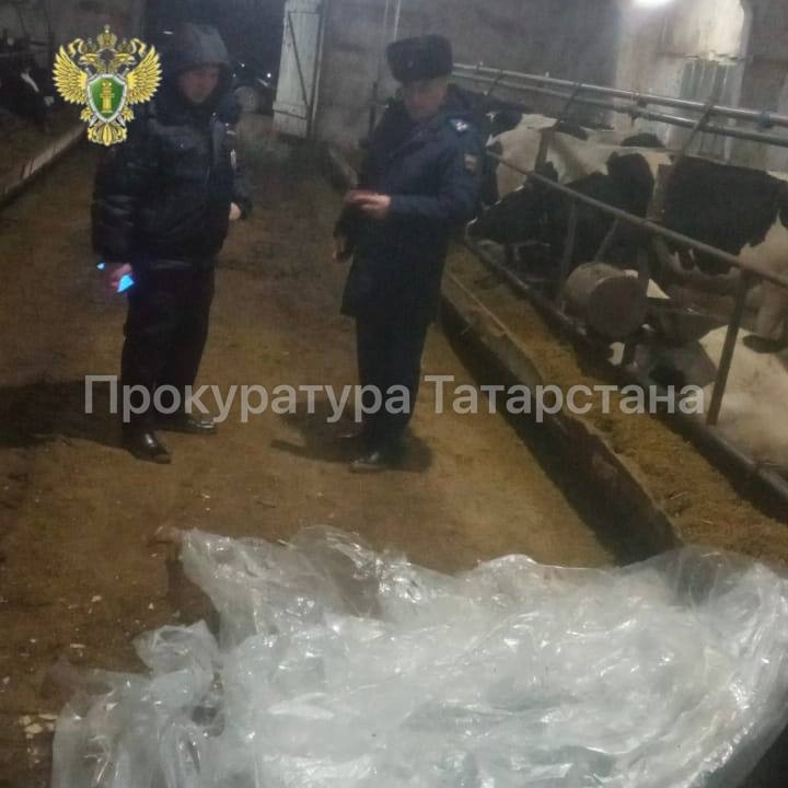Вдова погибшего на стройке рабочего из Казани получит 2 млн рублей