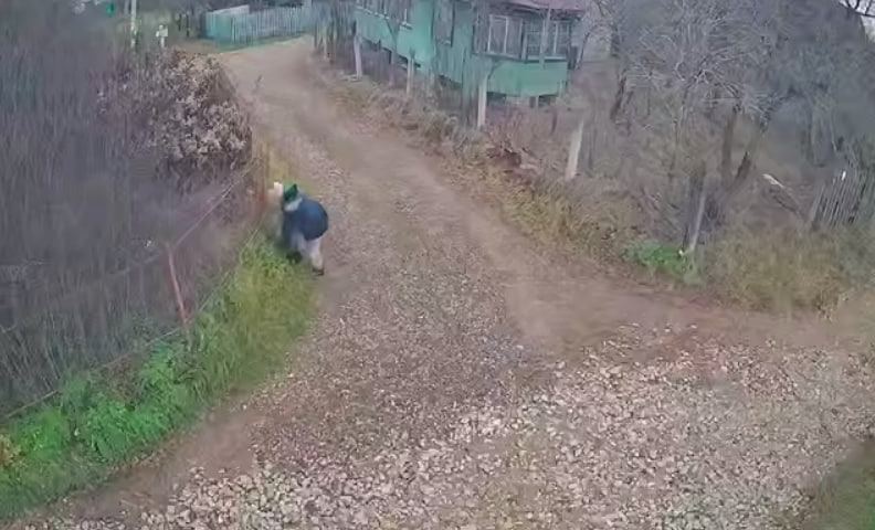 В соцсетях показали, откуда в Зеленодольском районе берутся бездомные собаки