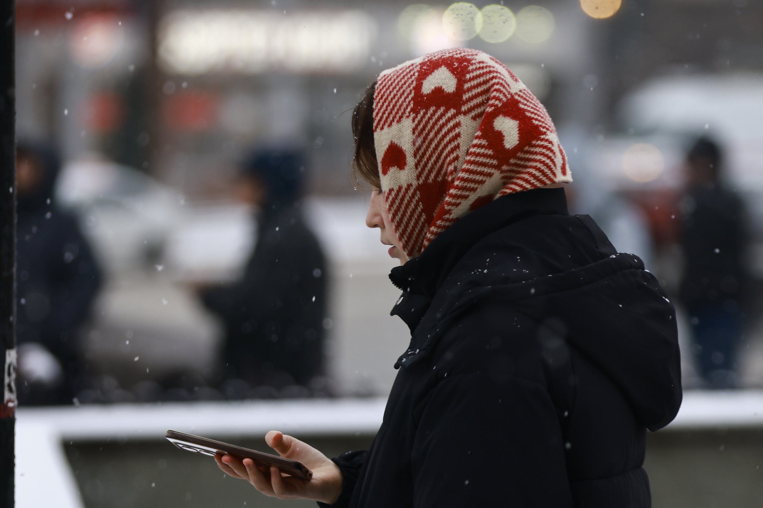 Снегом покроется 92% территории России на следующей неделе