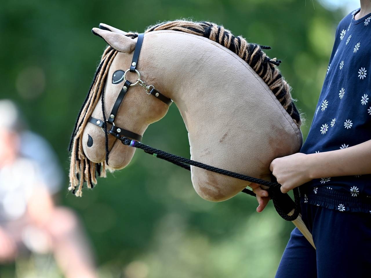 Россияне перед годом Лошади бросились скупать коней на палочке для хоббихорсинга