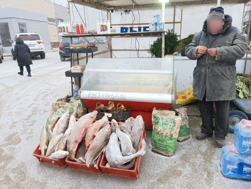В двух районах Казани нашли незаконные точки торговли рыбой