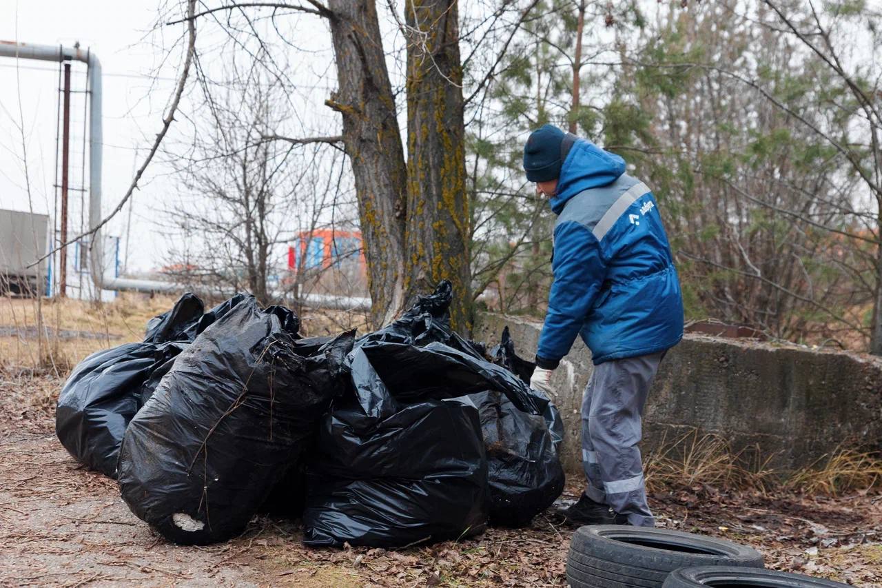 ОЭЗ «Алабуга» преобразила территорию леса