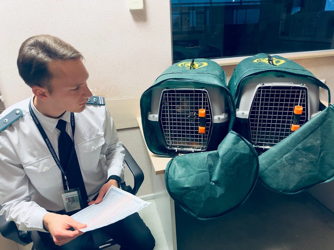 Обезьяны-гастролеры из Беларуси вернулись на родину из Казани