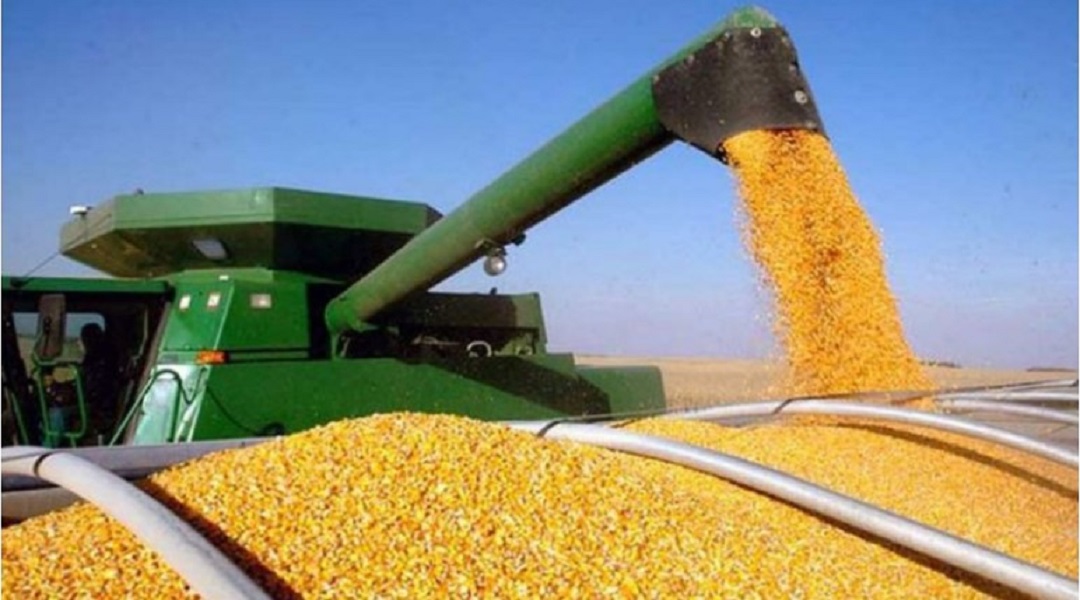 Аграриям Татарстана необходимо убрать еще 46 тысяч гектаров технических культур