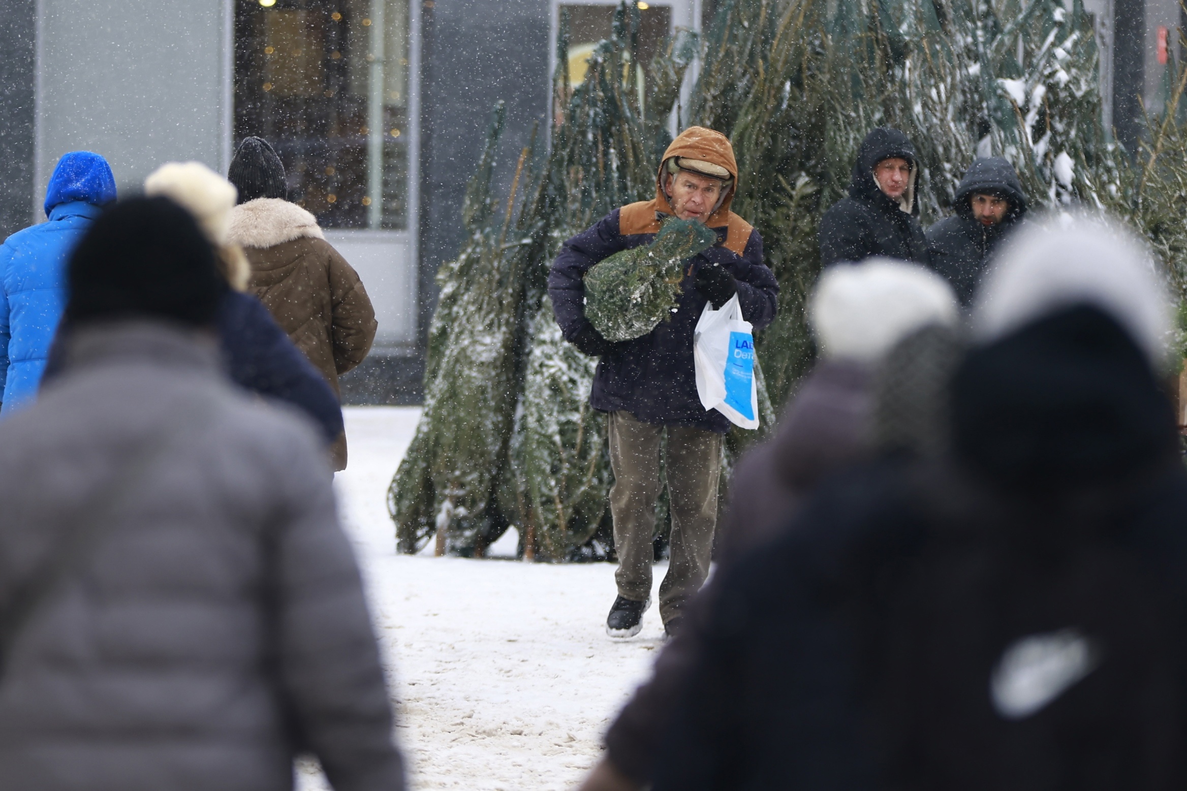 За сруб елки татарстанцы получат штраф до полумиллиона рублей