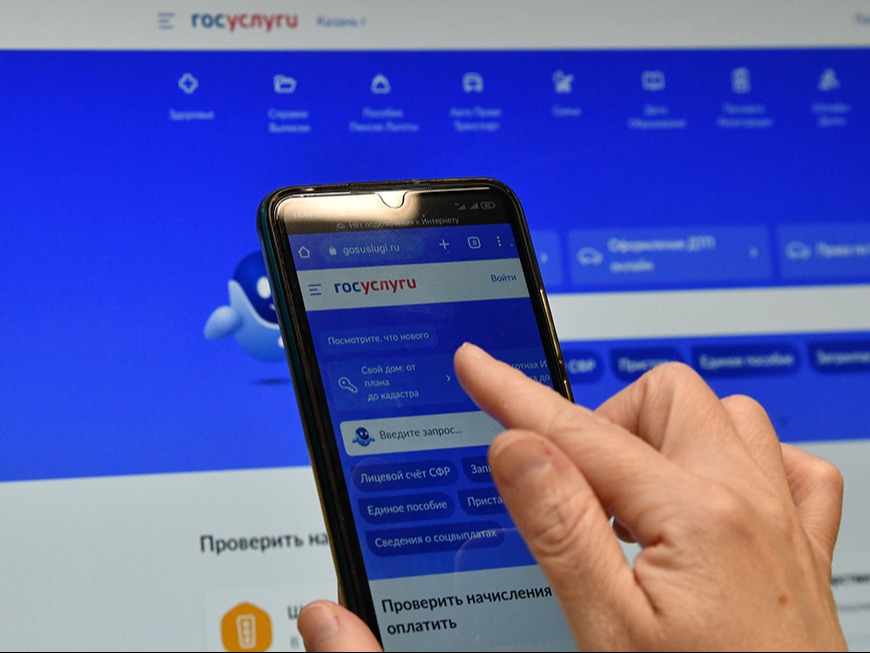Заблокированный аккаунт на «Госуслугах» можно разморозить через приложение Max