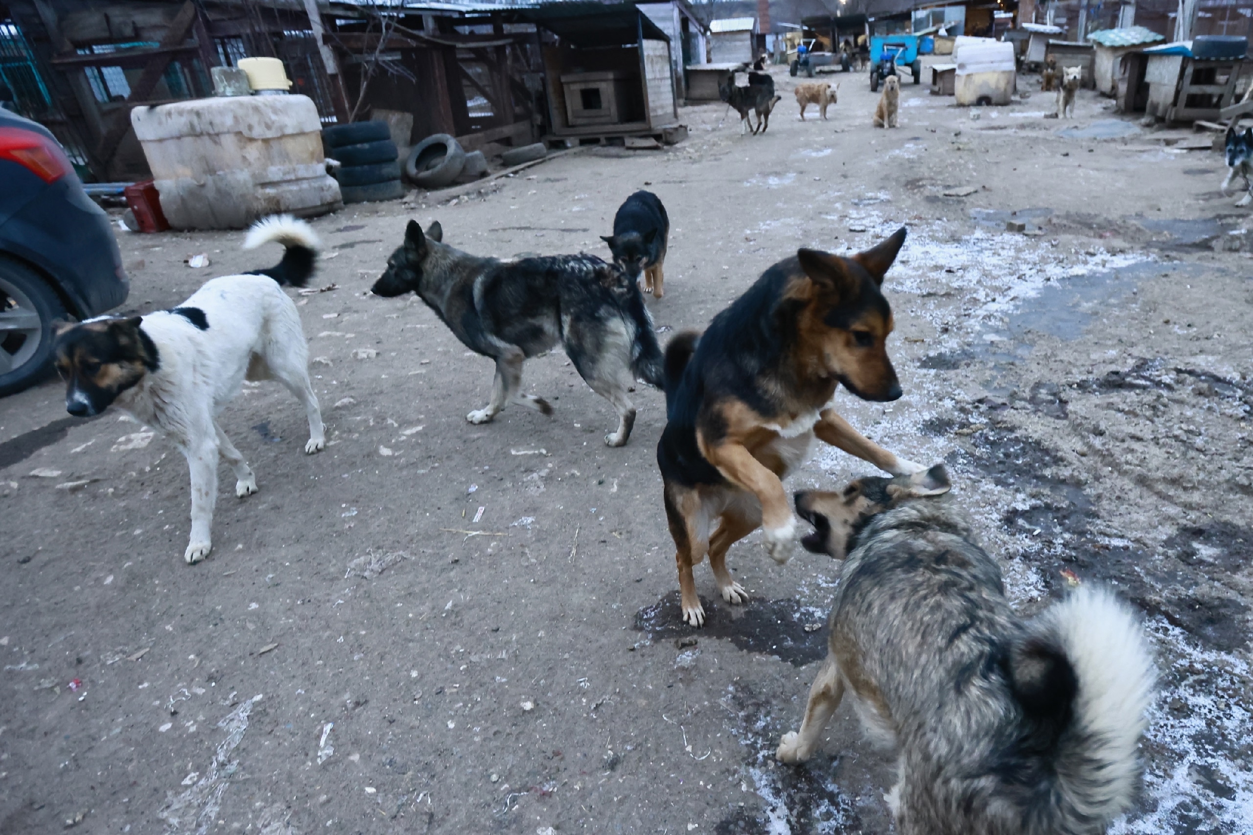 Павел Хацаюк / ИД «Вечерняя Казань»