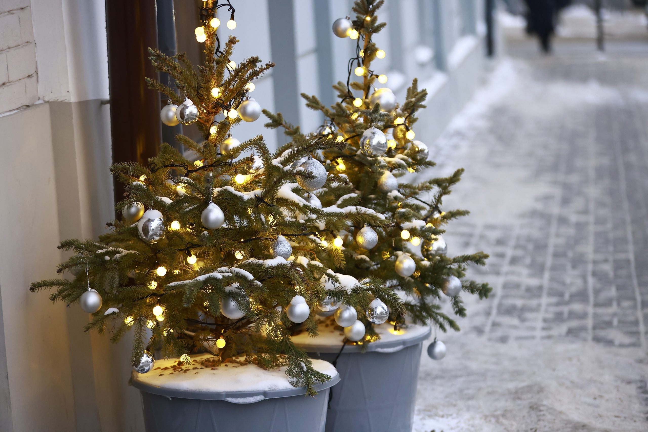 Эксперт КФУ предупредил об опасности новогодних гирлянд