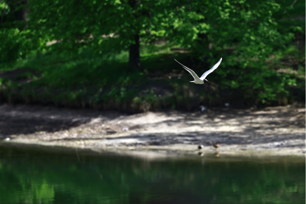 За полвека в Татарстане исчезло больше трех тысяч озер