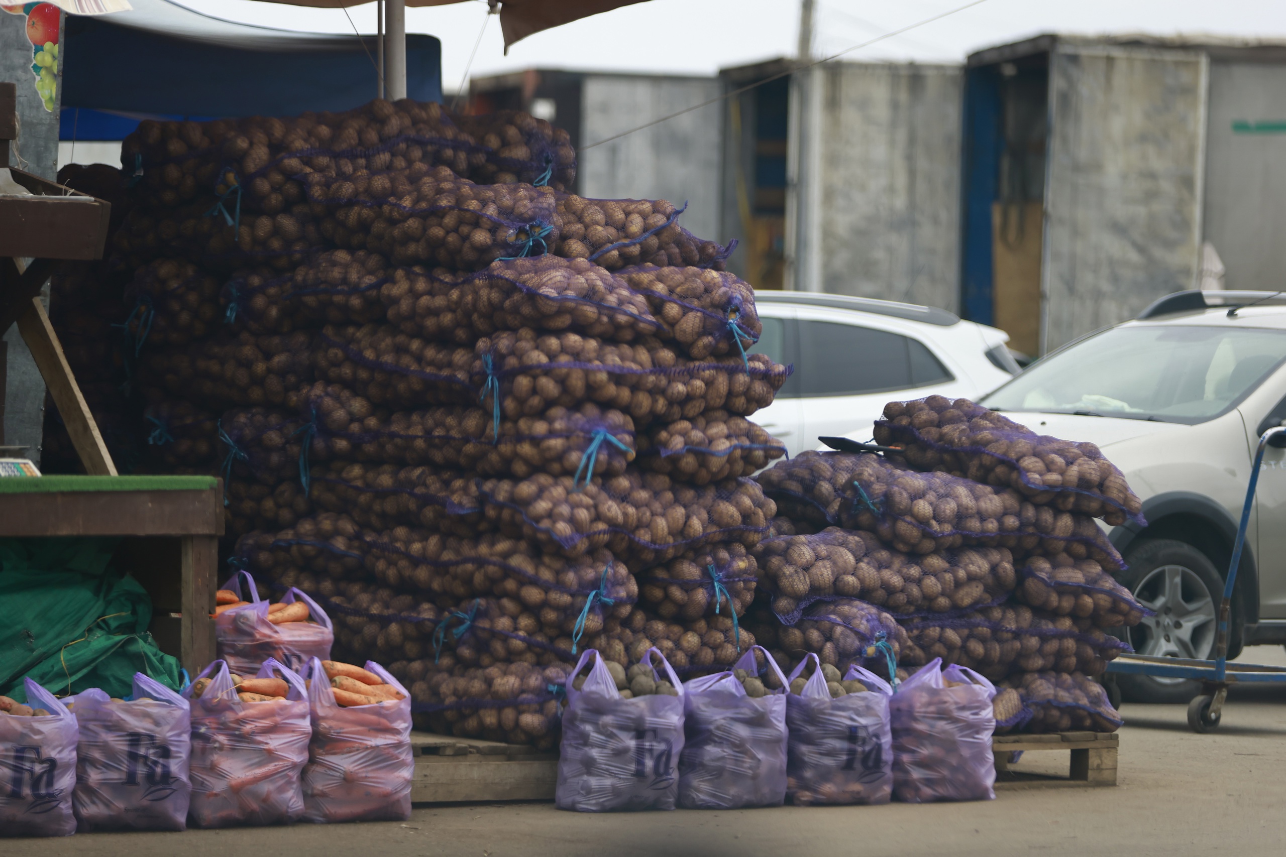 Казанцы на осенних сельхозярмарках купили 441 тонну картофеля