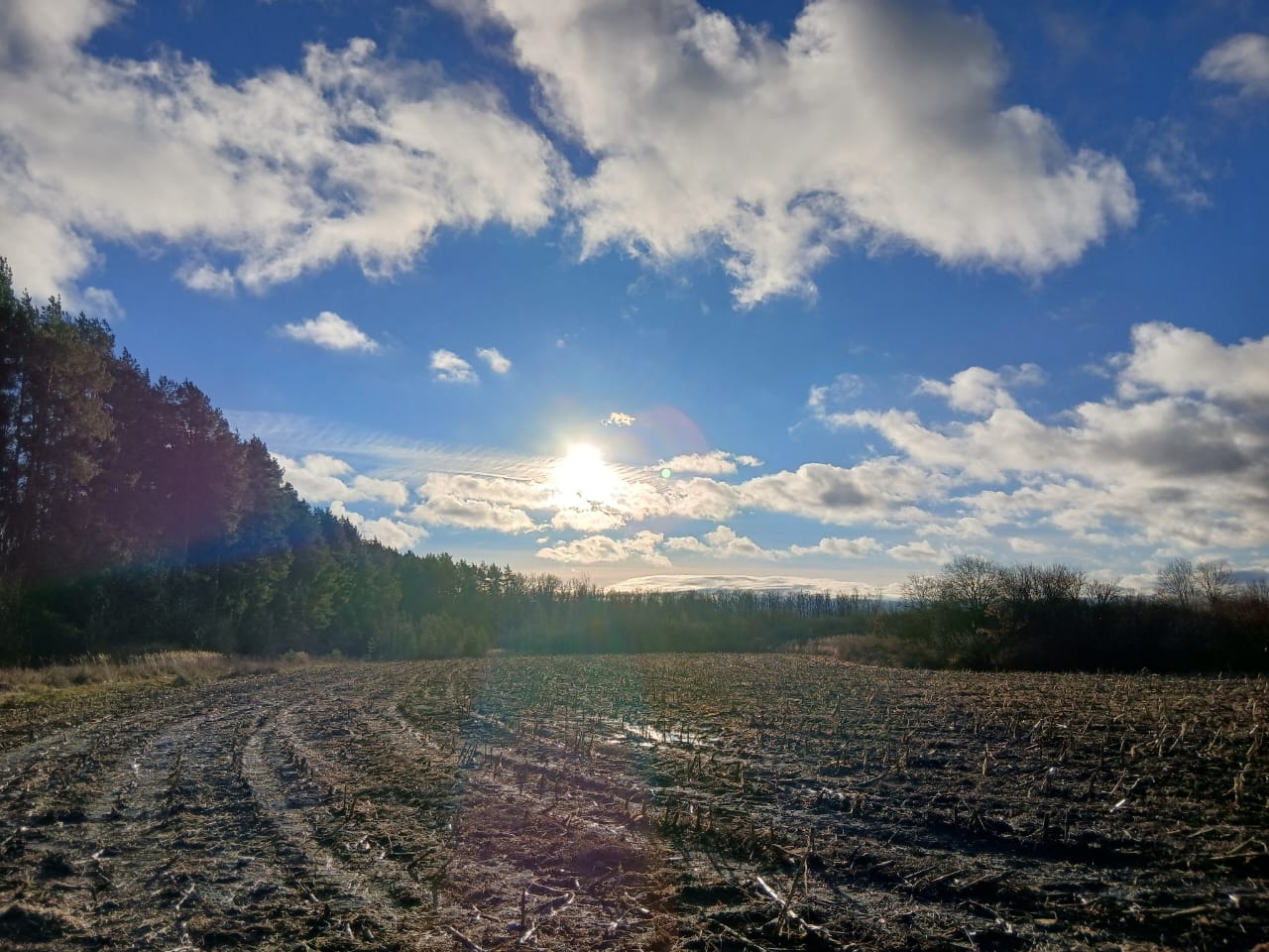 Около Свияжска откопали средневековое поселение Мизиновское