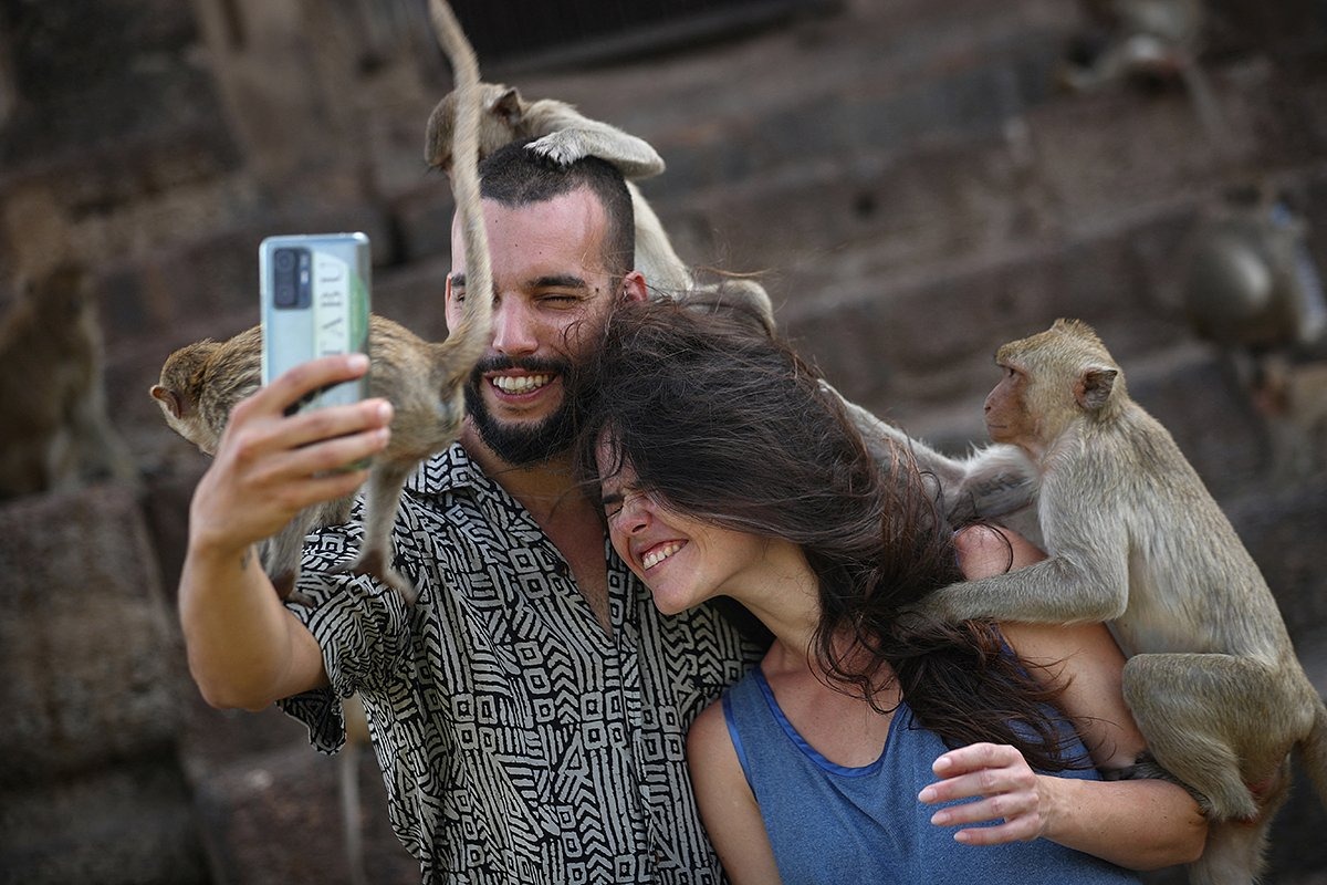 Российское посольство в Индии просит туристов не улыбаться обезьянам