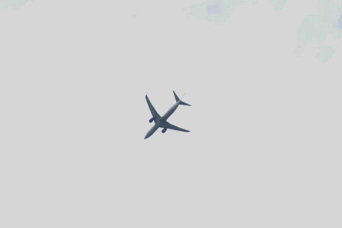 Туры по России в 2026 году подорожают на 5–12 %