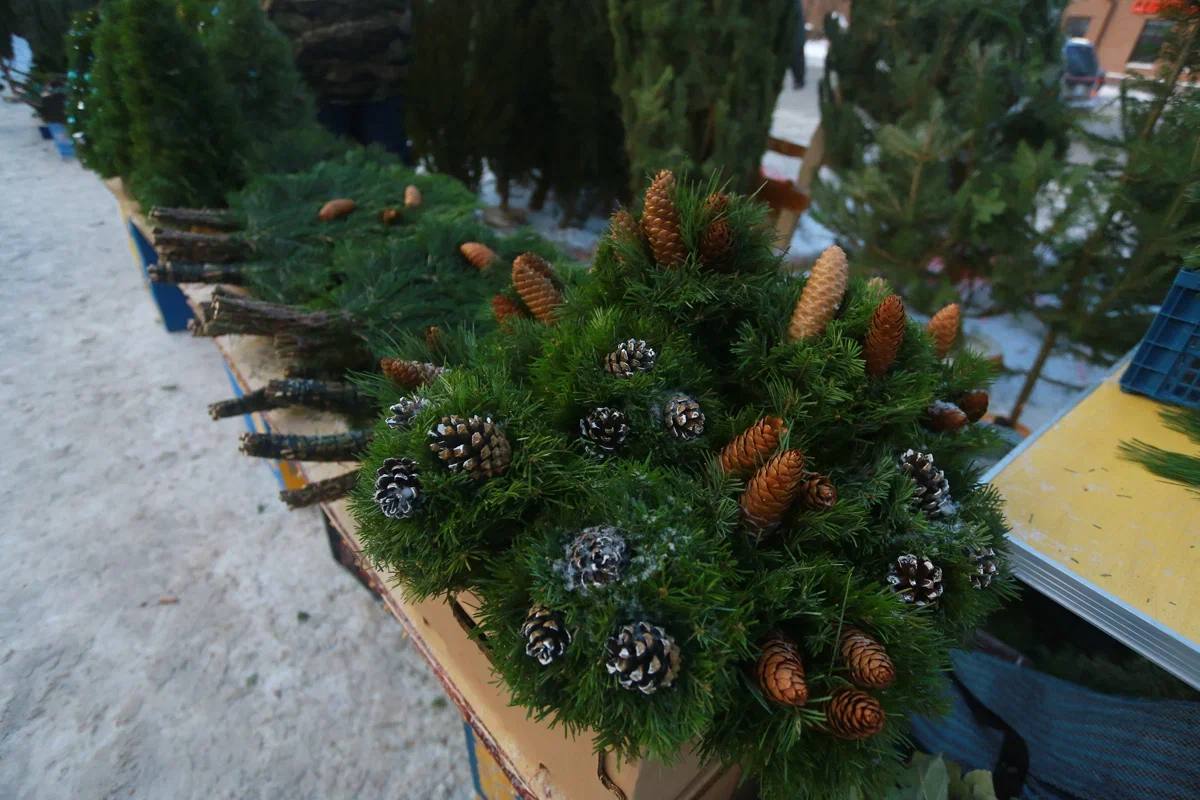 За выброс елки в контейнер грозит штраф