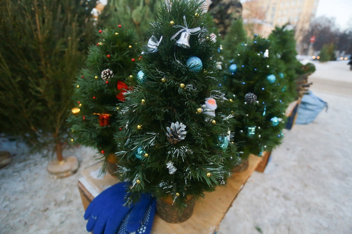 Какой штраф можно получить в России за оставленную в подъезде ёлку