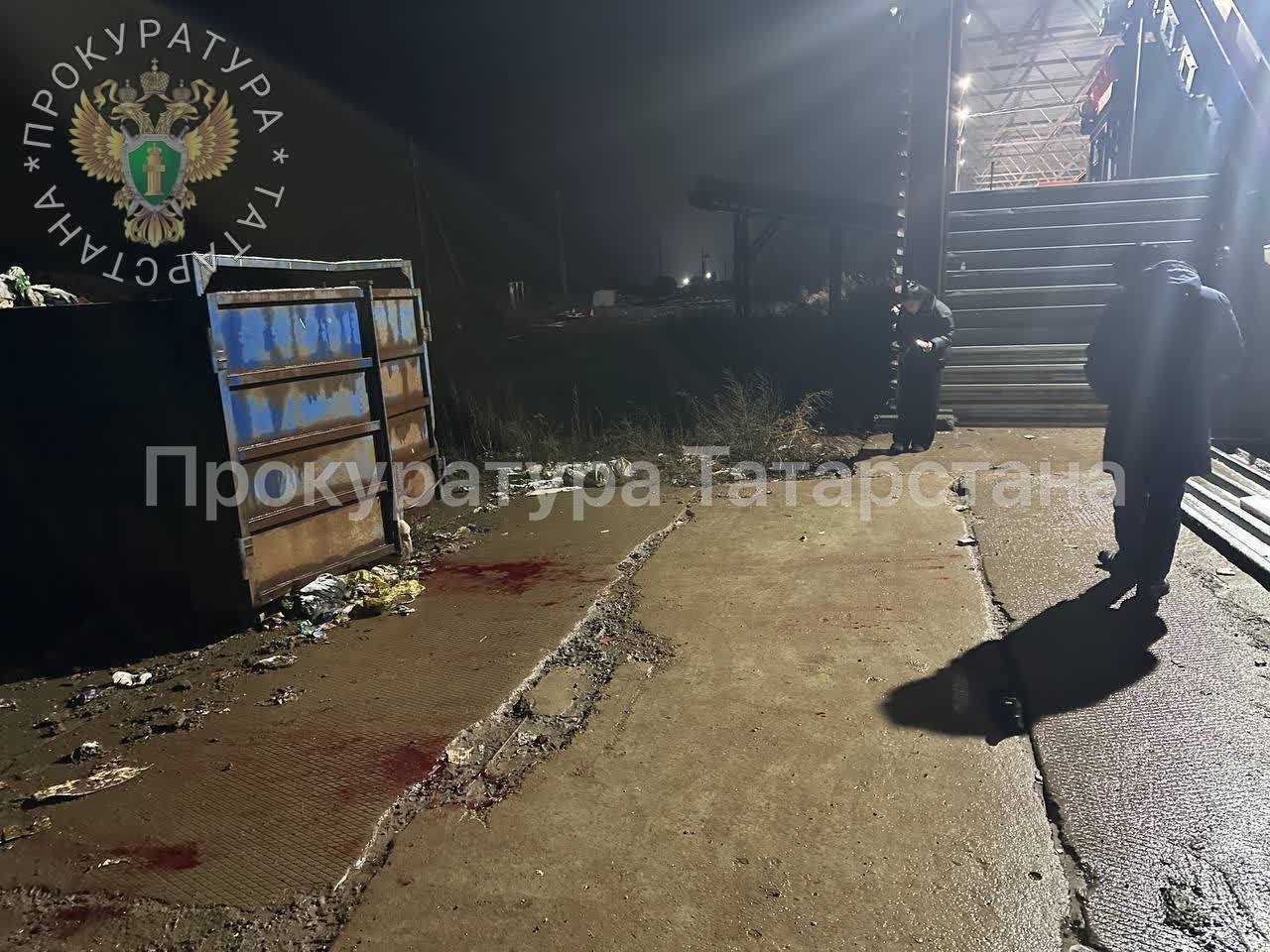 Наказаны виновные в нападении собак на мужчину у татарстанской деревни