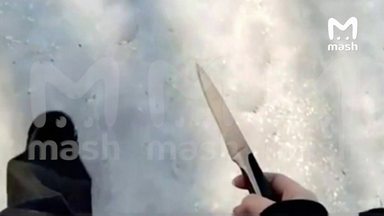 Шестиклассница пришла в школу Воронежа с ножом и начала угрожать одноклассникам