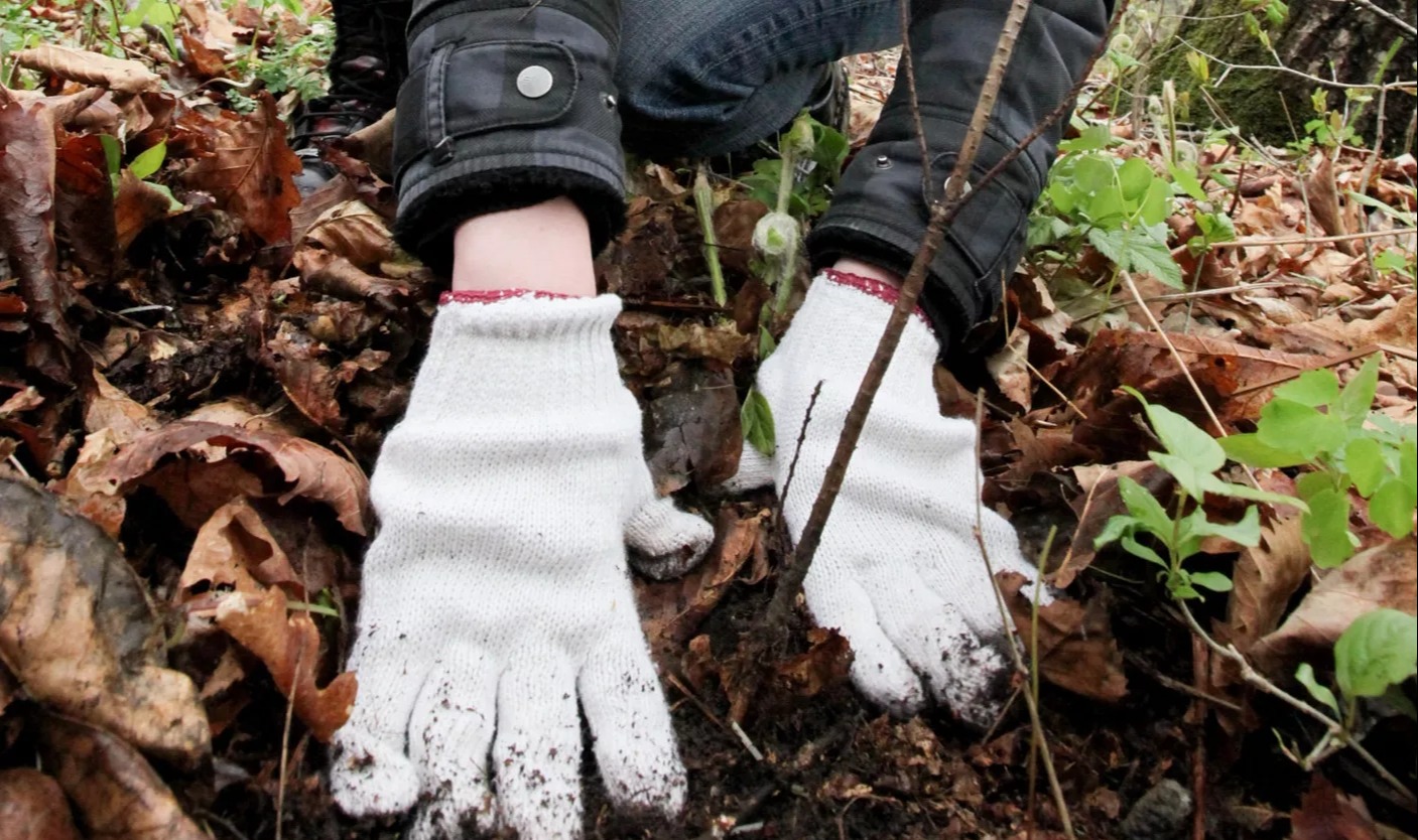 Лесные насаждения Татарстана будут восстанавливать с помощью дронов