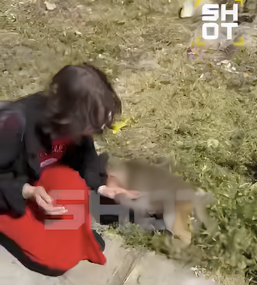 Во Вьетнаме на туристку из Казани напала агрессивная обезьяна