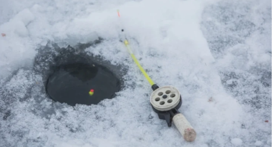 Госкомитет РТ по биоресурсам