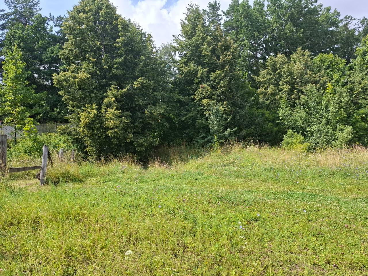 Владелец обжалует внесение в реестр ОКН парк усадьбы в Ключищах