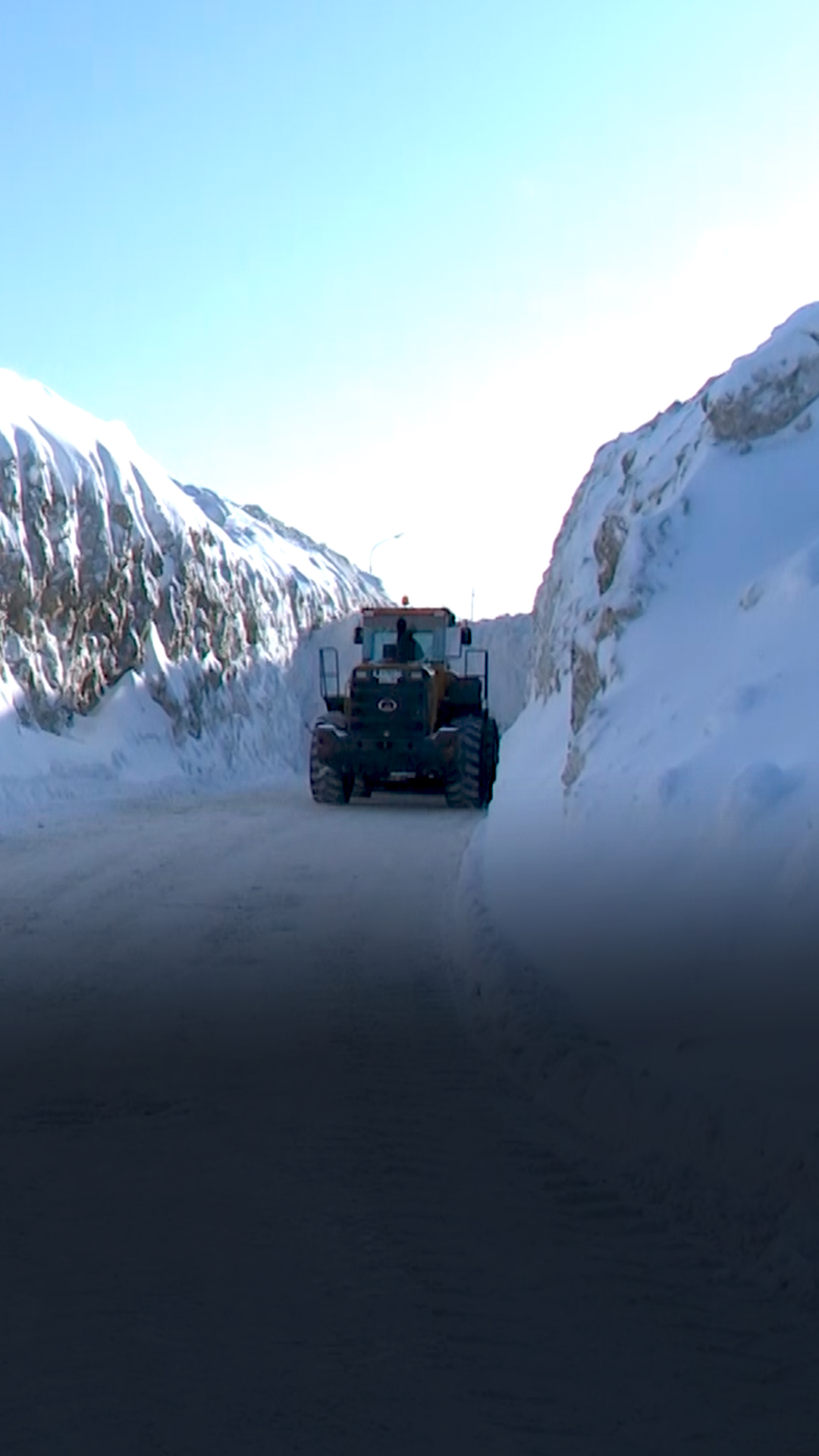 Анна Закаблуцкая