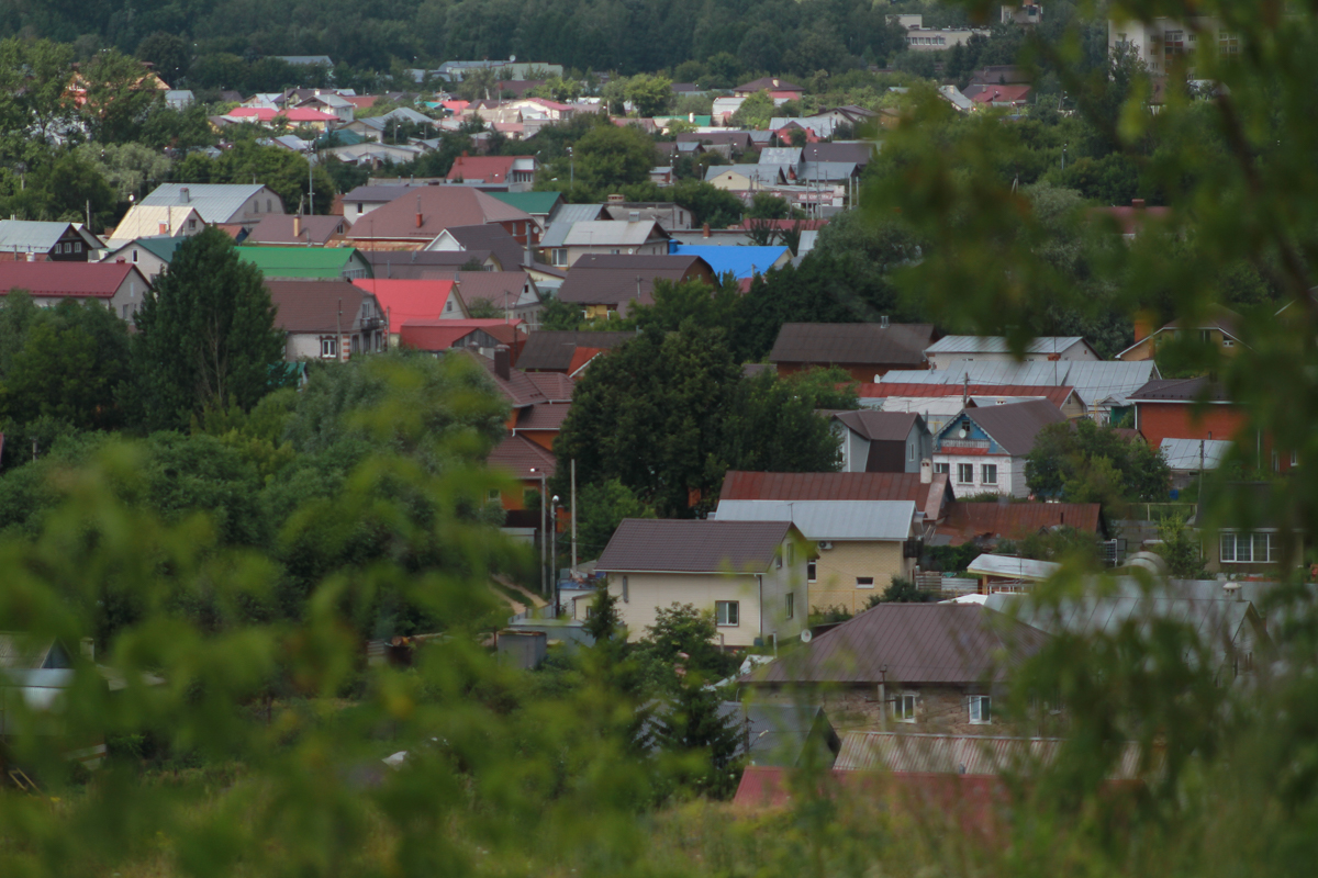 Штраф до 700 тысяч рублей грозит россиянам за американский клен на участке