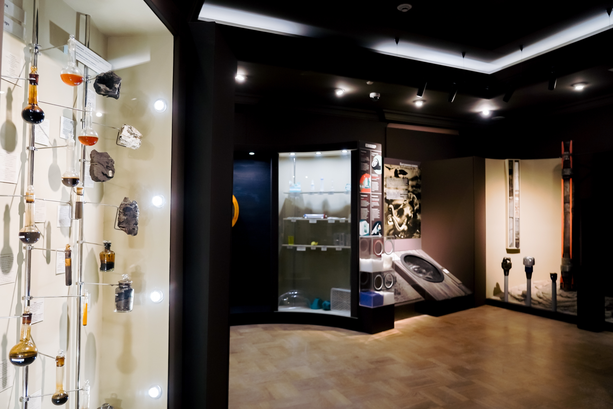 Руками – трогать! Музей естественной истории Татарстана обновил экспозицию