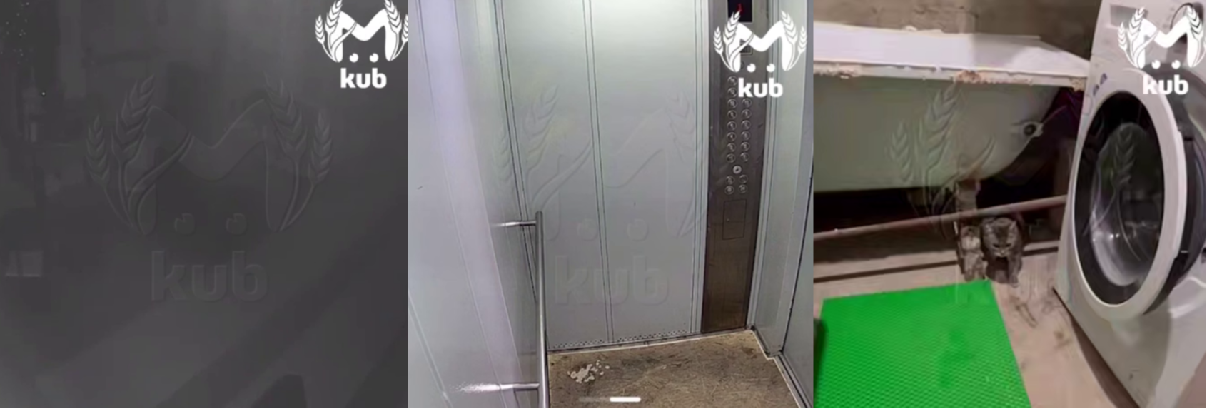 Землетрясение магнитудой 4,8 балла произошло в Краснодарском крае