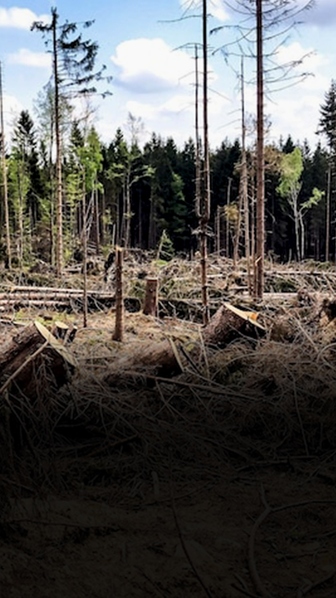 Анна Закаблуцкая