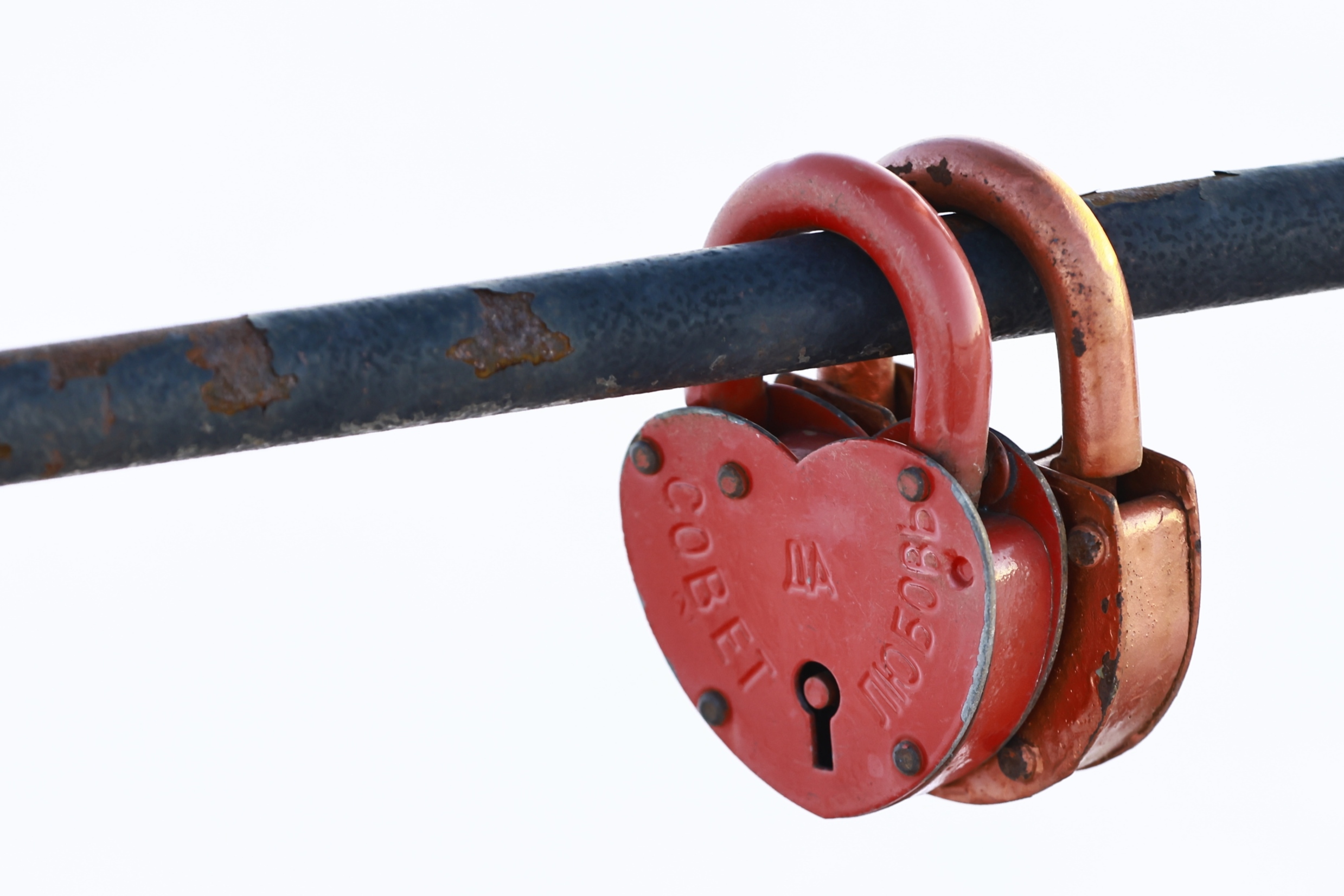 Сенатор Гибатдинов предложил меру против «черных вдов» участников СВО