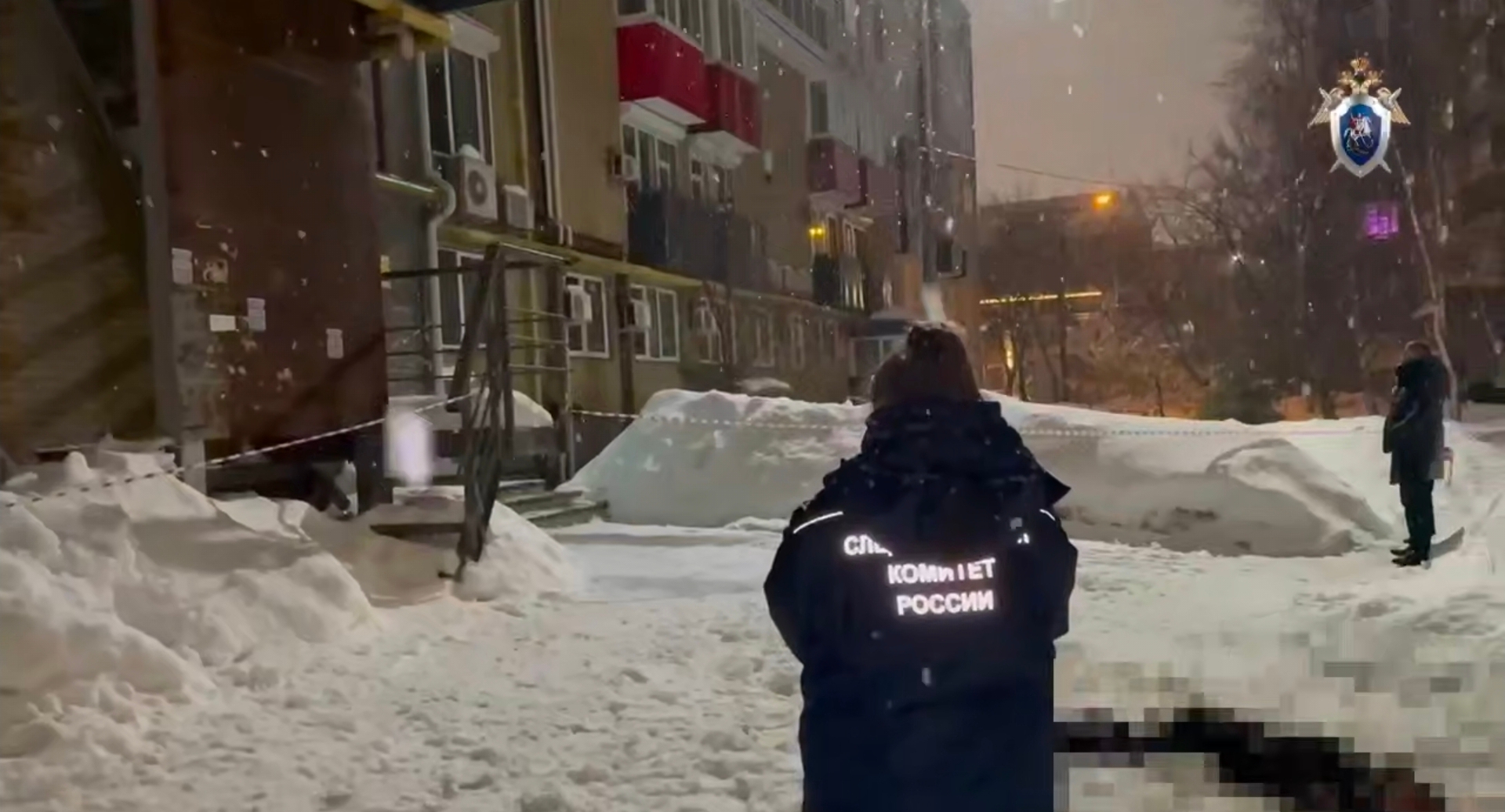 Девушка погибла из-за сосульки, упавшей с дома в Нижнем Новгороде