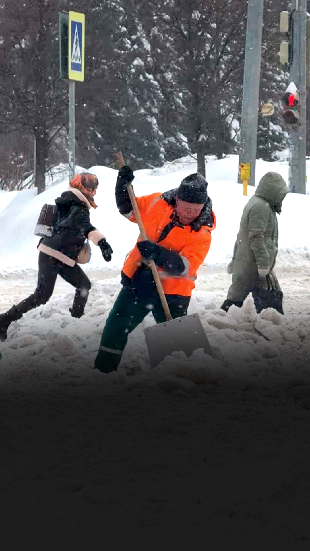 Анна Закаблуцкая