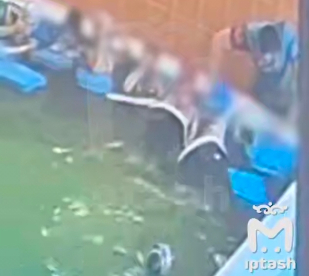 Полиция проводит проверку по факту избиения ребенка в бассейне детсада в Казани