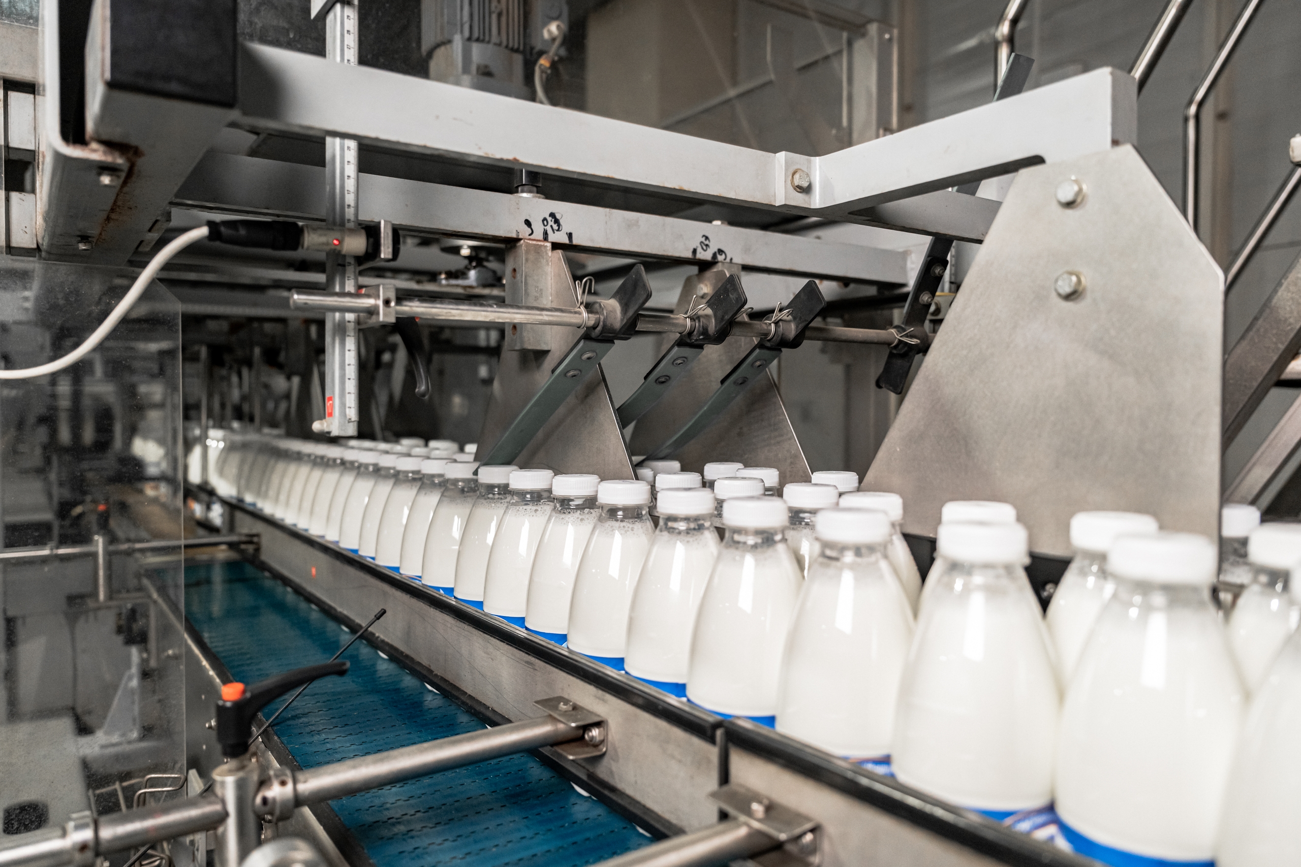 На производство молочного цеха в Казани направят более 1 млрд рублей